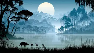 Mist Moon Lake desktop wallpaper